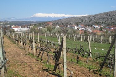 © Medjugorje Deutschland e.V.